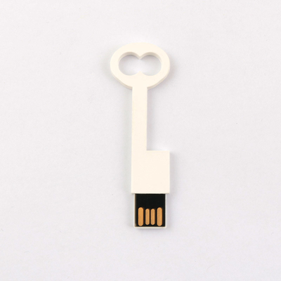 Conforma-se a movimentação instantânea 2,0 64GB 128GB 50MB/S de USB da chave plástica padrão de Europa