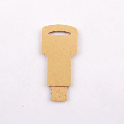 Movimentações instantâneas de Straw And Plastic 128gb, vara da memória do Usb 2,0 dos materiais recicláveis
